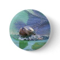 Sea Lion; In the Swim of Things! Pin
