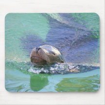 Sea Lion; In the Swim of Things! Mouse Pad