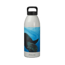 Sea Lion.jpg Water Bottle