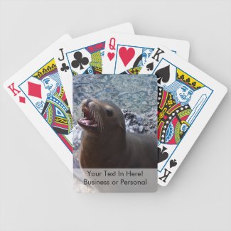 sea lion mouth open photo cute sea animal card decks