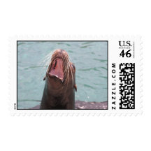 Sea Lion Mouth Open Postage