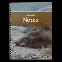 Sea Lion Notebook notebooks