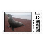 Sea Lion on Red Sand Beach postage
