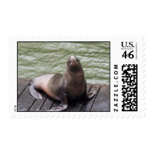 Sea Lion Postage Stamp