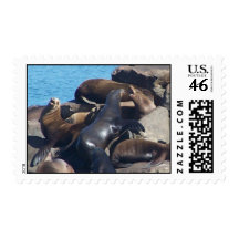 Sea Lion Postage Stamp