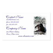 Sea Lion Pup Business Cards