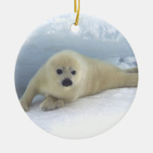 Sea Lion Pup Ornament