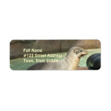Sea Lion Return Address Mailing Label