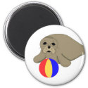 Sea Lion with a Beach Ball Fridge Magnet