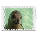 Sea Lion with Fish Greeting Card