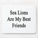 Sea Lions Are My Best Friends Mousepad