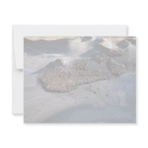Sea Lions at Haulout - Aerial View Personalized Invites