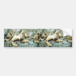 Sea Lions at Haulout Bumper Stickers