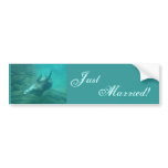 Sea Lions Just Married Bumper Sticker