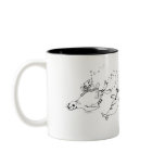Sea Lions Kids Sea Camp much mugs