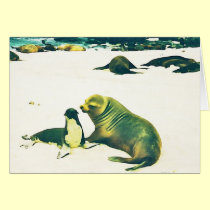 Sea Lions - Mom kissing Pup cards