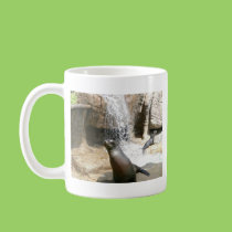 Sea Lions mugs