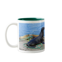 Sea Lions Mug