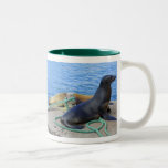 Sea Lions Mug