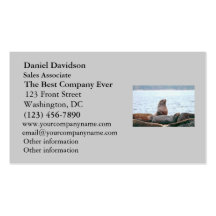 Sea Lions Photo Business Cards