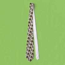 Sea Lions ties