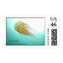 Sea Nettle Stamps