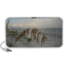 Sea Oat At Sunset Ipod Speaker