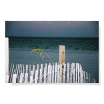 sea oat posters by plumeriaflower sea oat posters