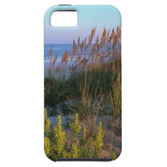 Sea Oats and Beach iPhone 5 Cover