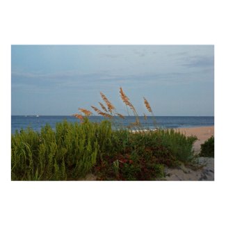 Sea Oats at Dusk print