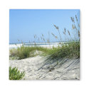 Sea Oats at Ocracoke magnets by lighthouseenthusiast Sea Oats at Ocracoke magnets