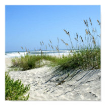 Sea Oats at Ocracoke posters by lighthouseenthusiast Sea Oats at Ocracoke posters