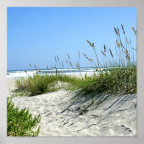 Sea Oats at Ocracoke Poster