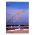 Sea Oats cards