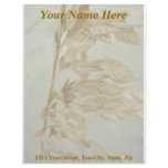 Sea Oats Outer Banks NC Series Letterhead