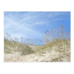 Sea Oats Outer Banks NC Series Post Cards