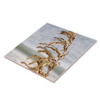 Sea Oats, Sea Breeze Ceramic Tiles