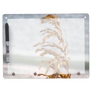 Sea Oats, Sea Breeze Dry-erase Boards