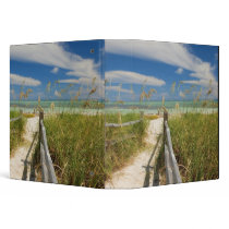 Sea oats Uniola paniculata) growing by beach, 3 Ring Binders