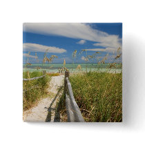 Sea oats Uniola paniculata) growing by beach, Pin