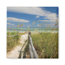 Sea oats Uniola paniculata) growing by beach, Refrigerator Magnets