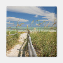 Sea oats Uniola paniculata) growing by beach, Refrigerator Magnets