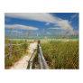 Sea oats Uniola paniculata) growing by beach, Post Card Sea oats Uniola paniculata) growing by beach, Post Card