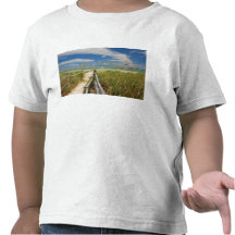 Sea oats Uniola paniculata) growing by beach, Tee Shirts