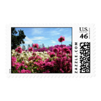 Sea of Azaleas postage by CyrScenesStamps Sea of Azaleas postage