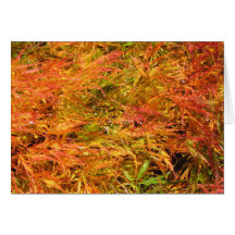 Sea of Fall Color Card