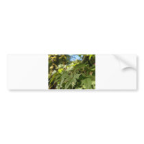 sea of leafs 2 bumper stickers by Elfain sea of leafs 2 bumper stickers