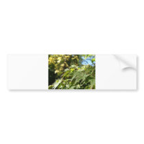 sea of leafs bumper stickers by Elfain sea of leafs bumper stickers