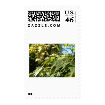 sea of leafs postage by Elfain sea of leafs postage