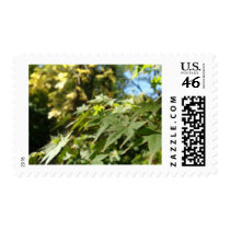 sea of leafs postage by Elfain sea of leafs postage